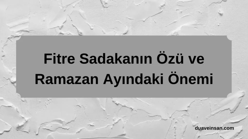 fitre ne anlama gelir