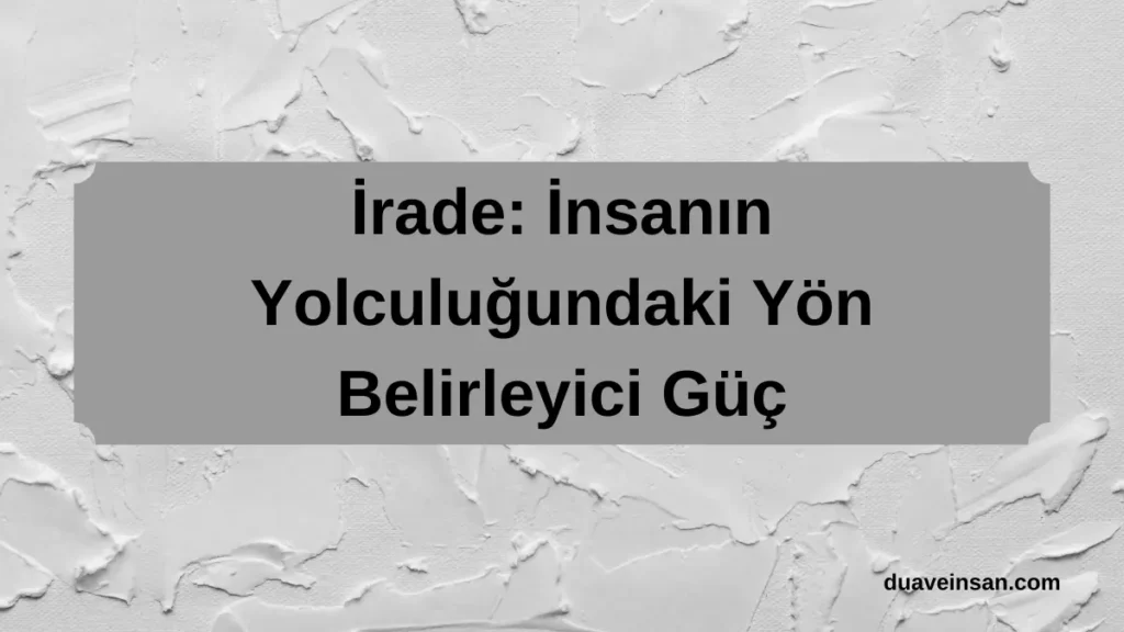 İrade