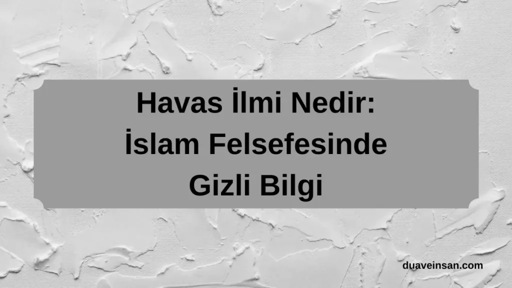 Havas İlmi Nedir