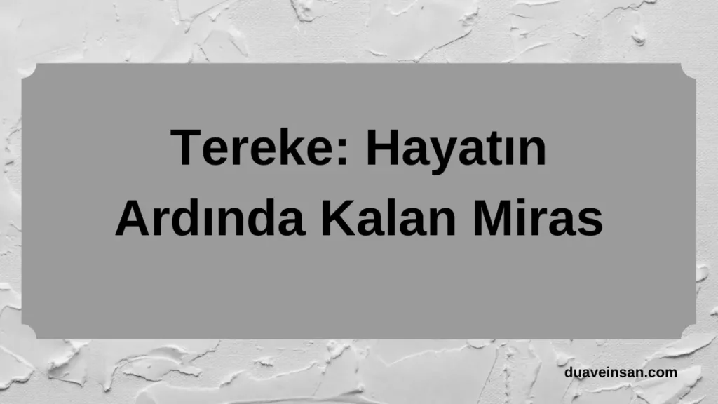 Tereke: Hayatın Ardında Kalan Miras